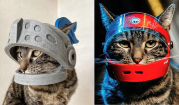 Man 3D Prints Helmets For His Cat
