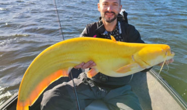Fisherman Catches Rare All-Yellow Leucistic Catfish