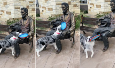 Awww: Dog Tries To Get Abraham Lincoln Statue To Throw Its Frisbee