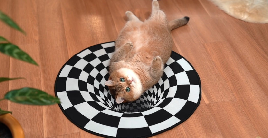 Cat Interacts With Optical Illusion Hole Rug