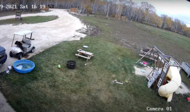Dog Crashes Golf Cart Into Owner’s Truck