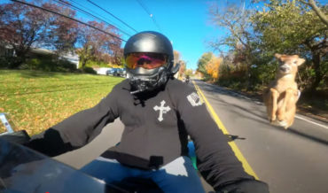 Deer Almost Jumps Over Motorcyclist Cruising Down Road