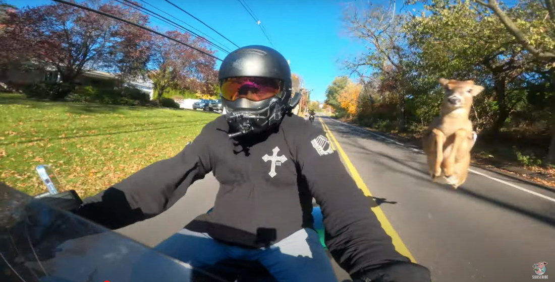 Deer Almost Jumps Over Motorcyclist Cruising Down Road