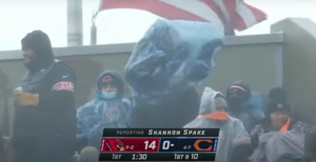 Bears Fan Struggles To Don Poncho During Game