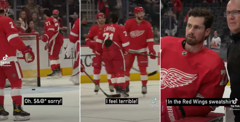 Red Wings Player Knocks Over Fan's Beer, Feels Terrible, Gives Him $20 For Another