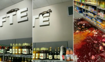 Wild Marten Wreaks Havoc In German Grocery Store