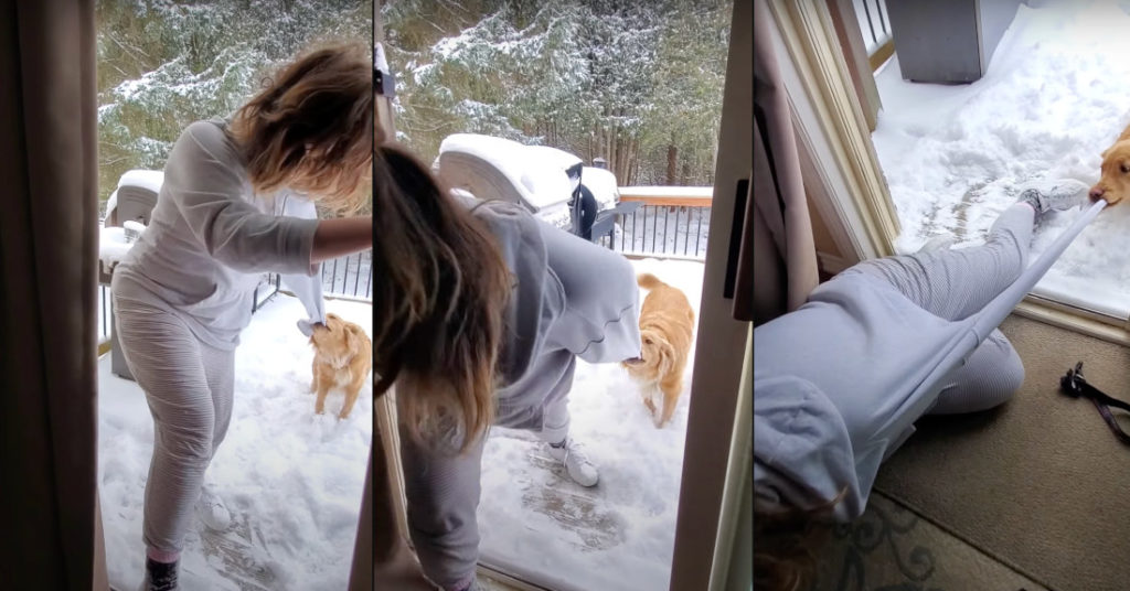 Golden Retriever Insists Woman Come Play In The Snow With Her