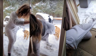 Golden Retriever Insists Woman Come Play In The Snow With Her