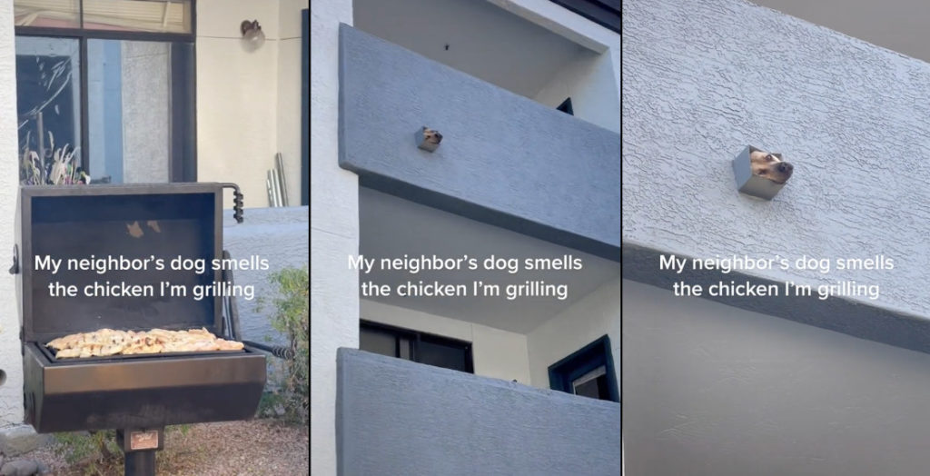 Dog On Balcony Smells Downstairs Neighbor Grilling Chicken