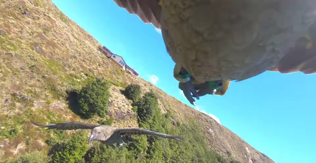 Parrot Steals GoPro, Delivers Flying Footage Of Getaway