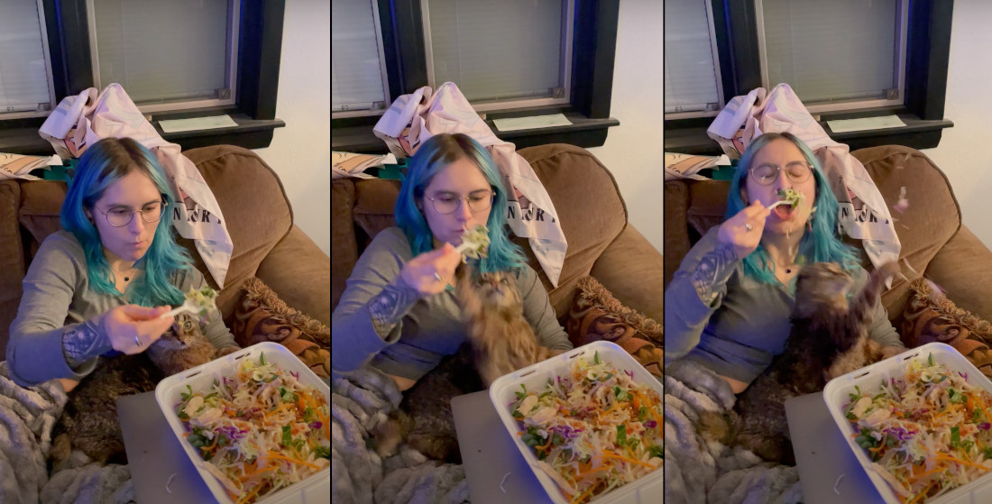 Cat Smacks Forkful Of Salad From Owner’s Hand