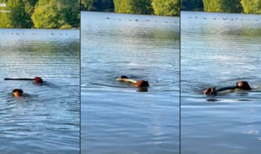 Two Dogs Perform Water Ballet In Lake With Stick