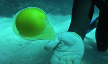 So That’s What That Looks Like: Cracking An Egg 60-Feet Underwater