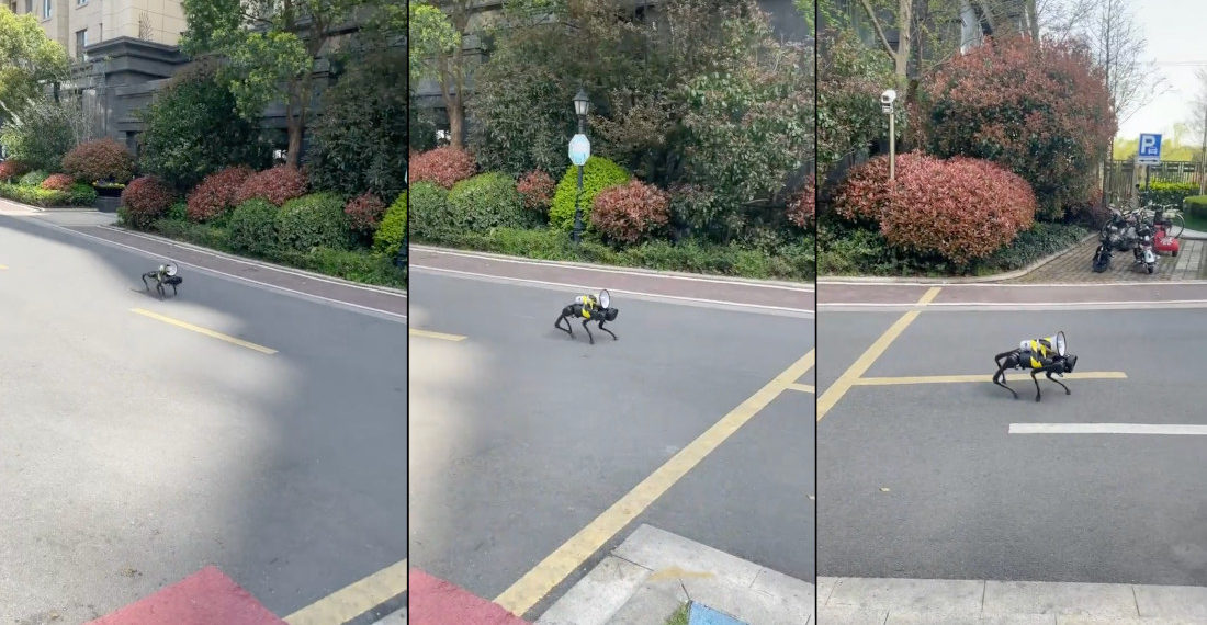 Robotic Dog With Loudspeaker Broadcasts COVID Lockdown In Streets Of Shanghai