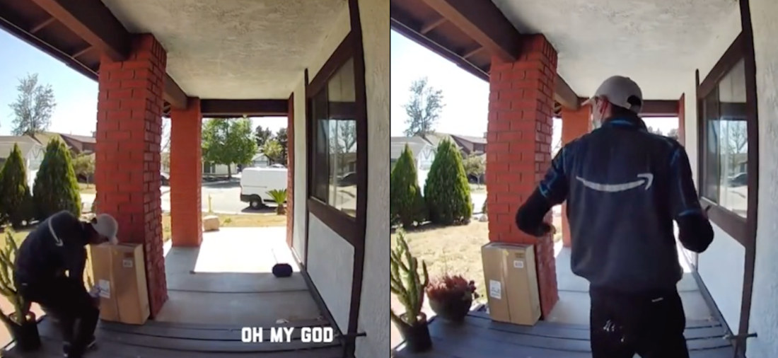 Doorbell Cam Captures Amazon Delivery Guy Accidentally Sitting On Cactus