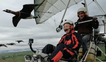 Flying An Ultralight Plane In Formation With Geese