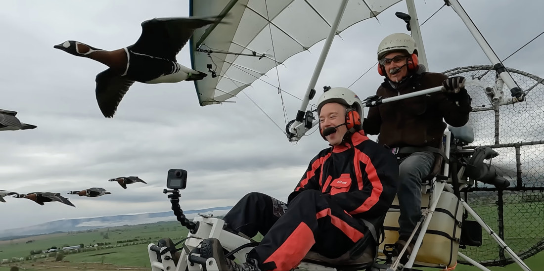 Flying An Ultralight Plane In Formation With Geese