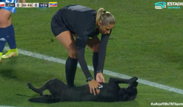 Dog Interrupts Soccer Match For Some Belly Rubs