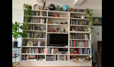 Find The Cat In The Newly Organized Bookshelf