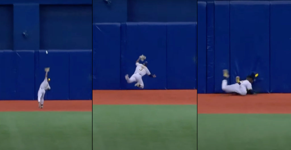 Going The Distance: Player Makes Extreme Baseball Catch