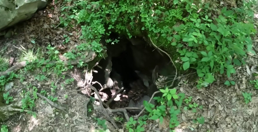 Spelunkers Explore Small Hole In Ground That Leads To 220-Foot Drop Into Cave