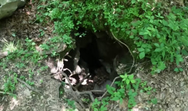 Spelunkers Explore Small Hole In Ground That Leads To 220-Foot Drop Into Cave
