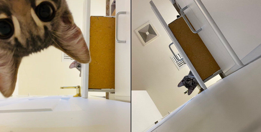 Cats Open Bathroom Drawer, Preventing Door From Being Opened