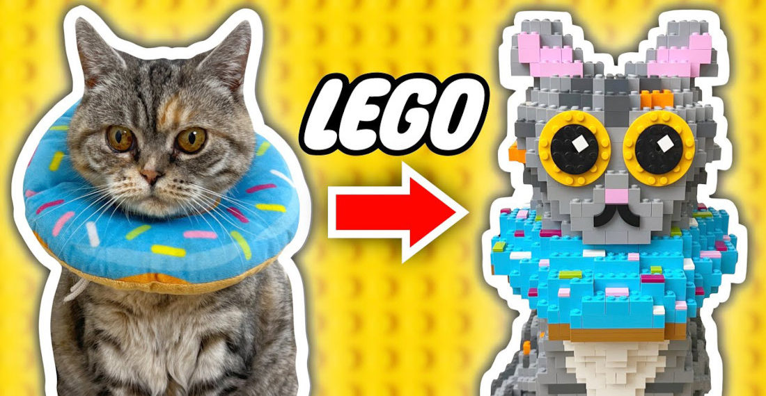 Man Builds Life Size LEGO Replica Of His Cat