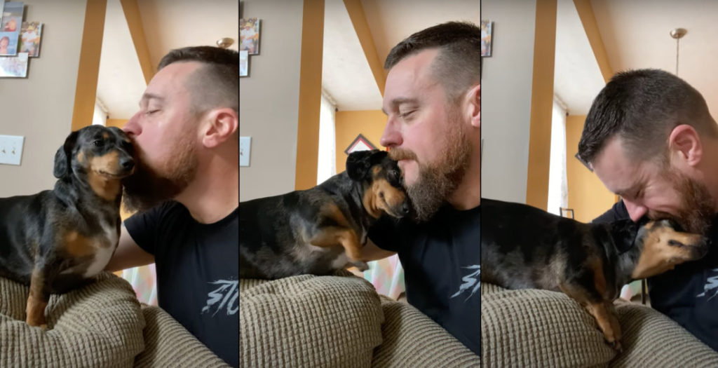Awww: Wiener Dog's Reaction To Being Kissed