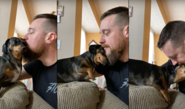 Awww: Wiener Dog’s Reaction To Being Kissed