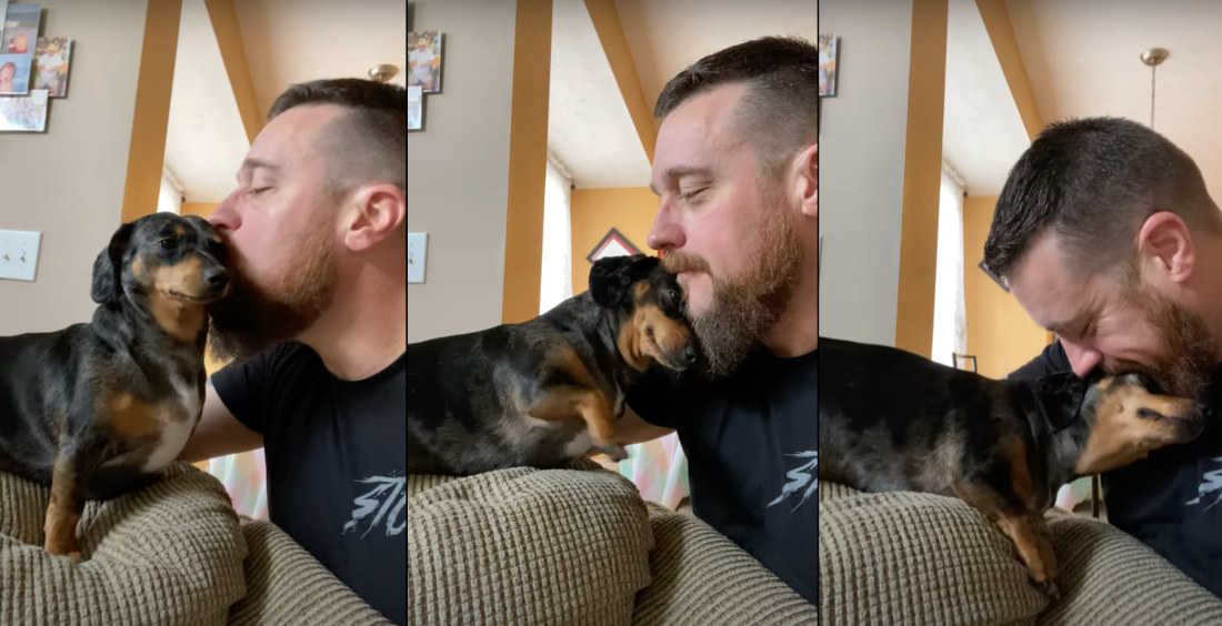 Awww: Wiener Dog’s Reaction To Being Kissed