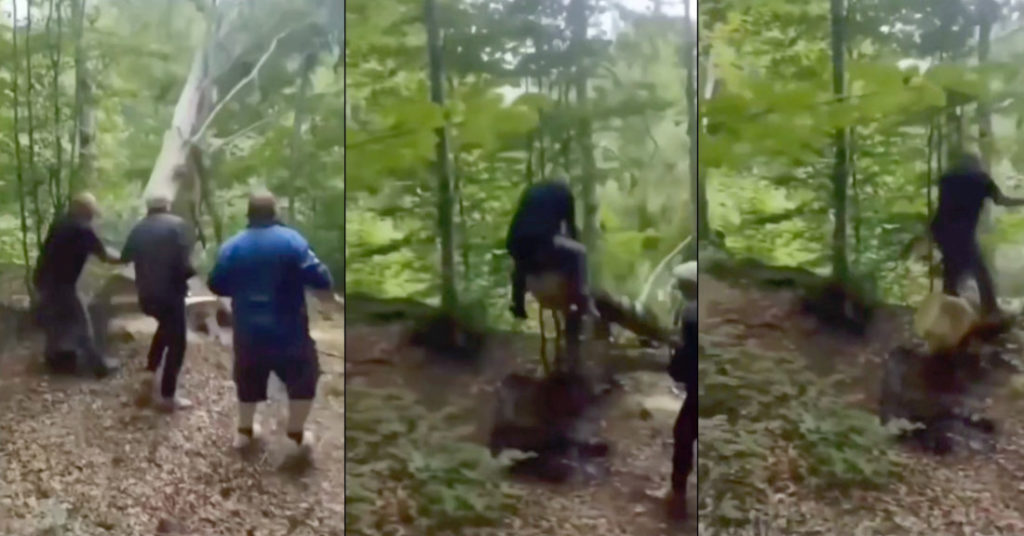 Man Takes Unexpected Seesaw Ride While Cutting Down Tree