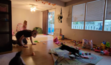 Man Wearing Cat Mask Freaks Out Real Cat