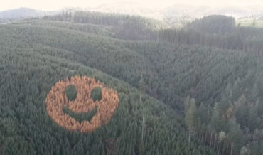 Giant Smiley Face Appears When Trees Change Color In The Fall