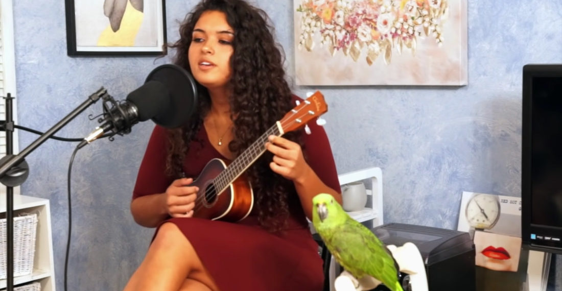 Woman With Ukulele Performs Radiohead’s ‘Creep’ With Her Parrot