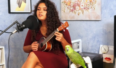 Woman With Ukulele Performs Radiohead’s ‘Creep’ With Her Parrot