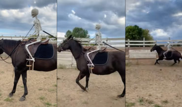 Trainer Uses Fake Skeleton To Get Horse Accustomed To Riders
