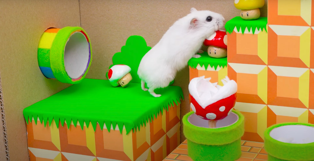 Incredible Super Mario Themed Hamster Maze