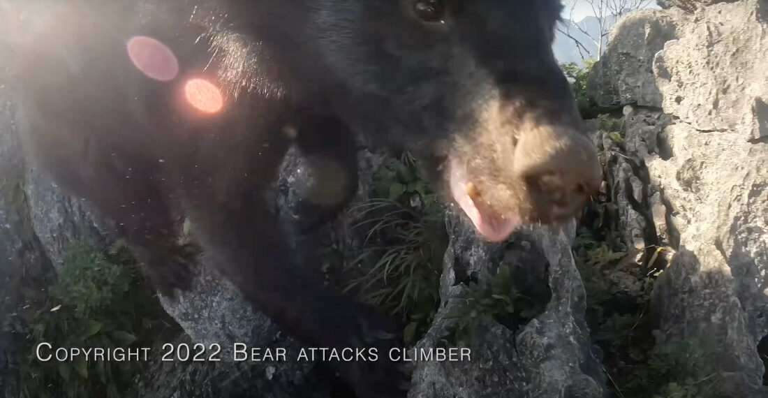 Helmet-Cam Footage Of Climber Attacked By Bear In Japan