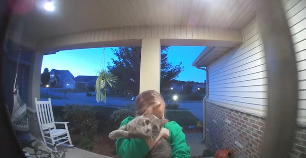 Awww: Doorbell Cam Captures Owner's Heartwarming Reunion With Missing Cat