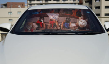 Star Trek: The Next Generation Crew As Cats Car Sunscreen