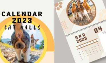 The 2023 Cat Balls Wall Calendar