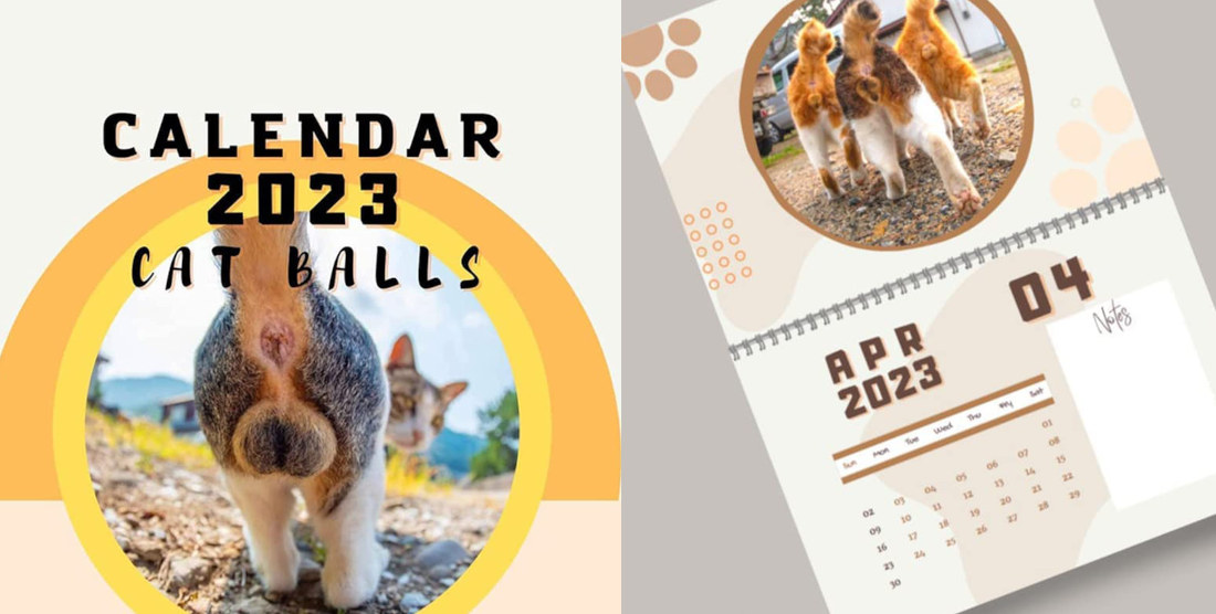 The 2023 Cat Balls Wall Calendar