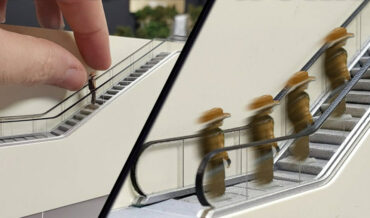 Man Builds Tiny Functional Escalator