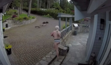 Breastfeeding Mom Chases Bald Eagle Away From Pet Goose