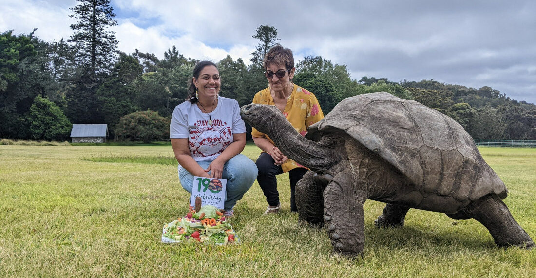 Jonathan The Tortoise Celebrates 190th Birthday