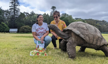 Jonathan The Tortoise Celebrates 190th Birthday
