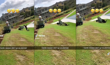 Pushing Wheelbarrow Full Of Mulch Up Hill Ends In Disaster