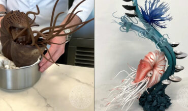 Chocolatier Makes Incredible Nautilus Sculpture Entirely From Chocolate