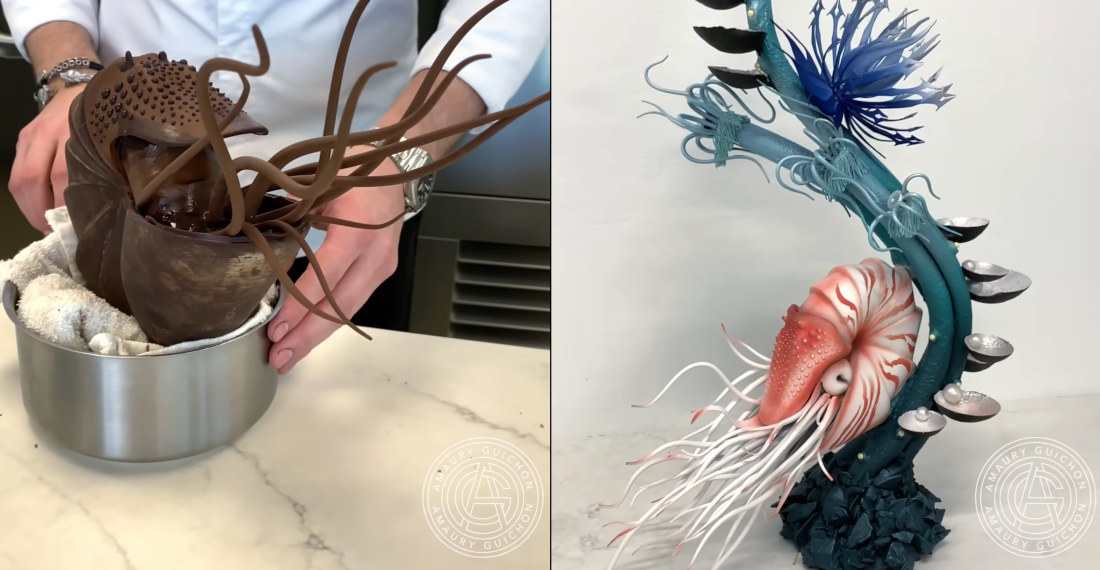 Chocolatier Makes Incredible Nautilus Sculpture Entirely From Chocolate